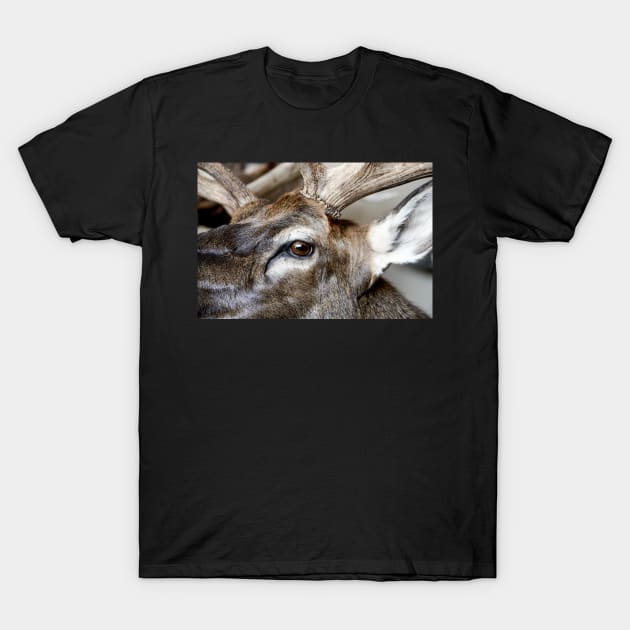 Caribou Head T-Shirt by heidiannemorris